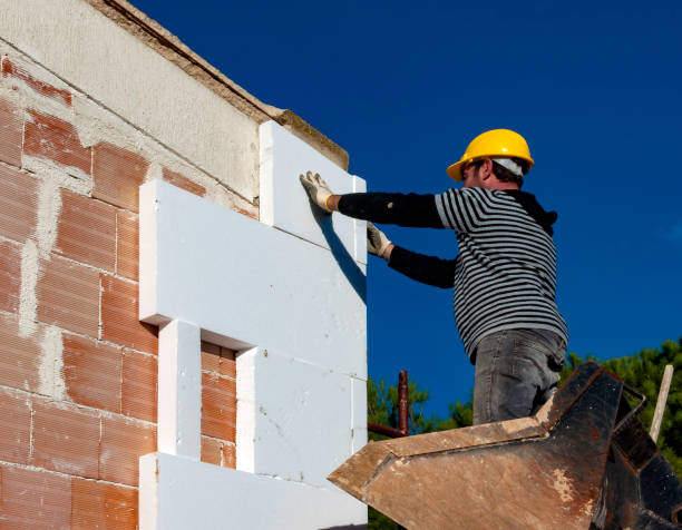 Best Residential Insulation Services  in Fairview, NC