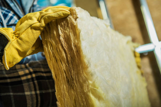 Best Insulation Removal  in Fairview, NC