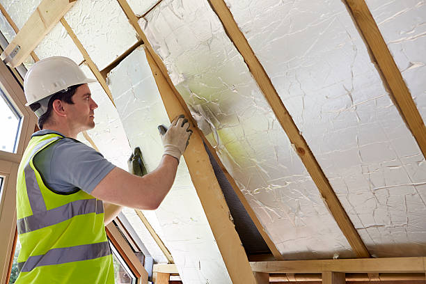 Best Cellulose Insulation  in Fairview, NC