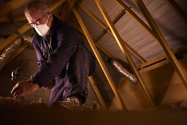 Best Crawl Space Insulation  in Fairview, NC