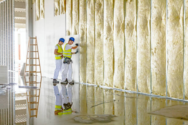 Best Insulation Contractors for Homes  in Fairview, NC
